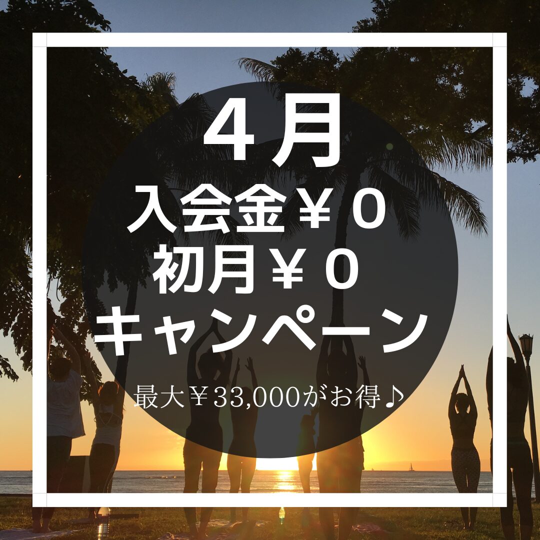 ４月【初月￥０キャンペーン】先着５名様